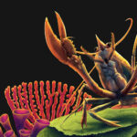 Final-Art_Lobster