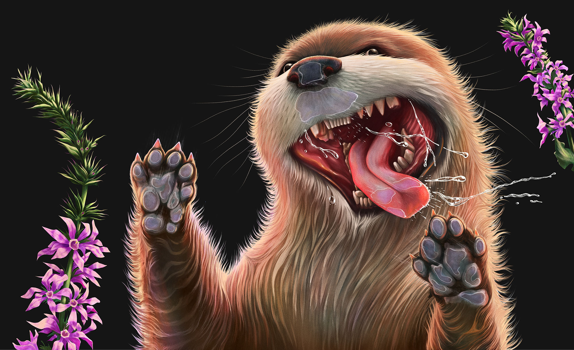 Final_Art_Otter_Purple-Loosestrife